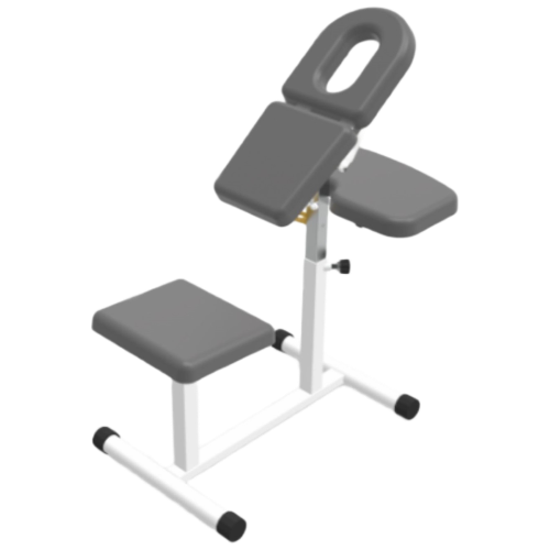 Massage Chair with Techniques RL-CX-49