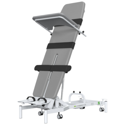 Electric Standing Bed RLRF212