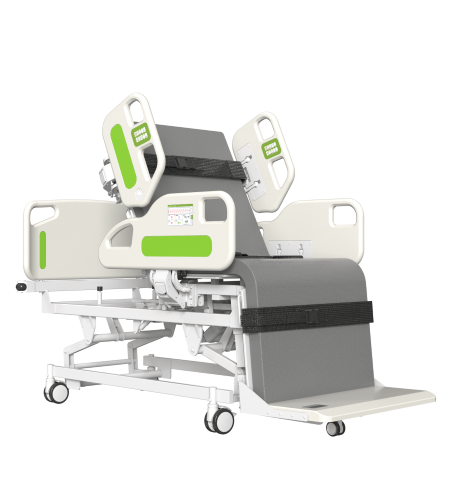 Electric Medical Bed RLRF306