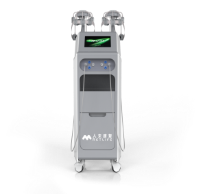 Low and Medium Frequency Electromagnetic Therapy Device RLSP312