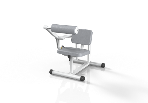 Spine flexion and extension RLMP206