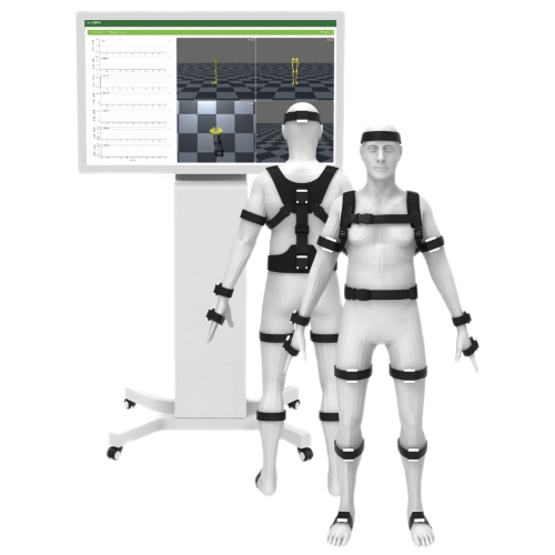 Whole Body Joint Mobility Assessment Training System RLGT701